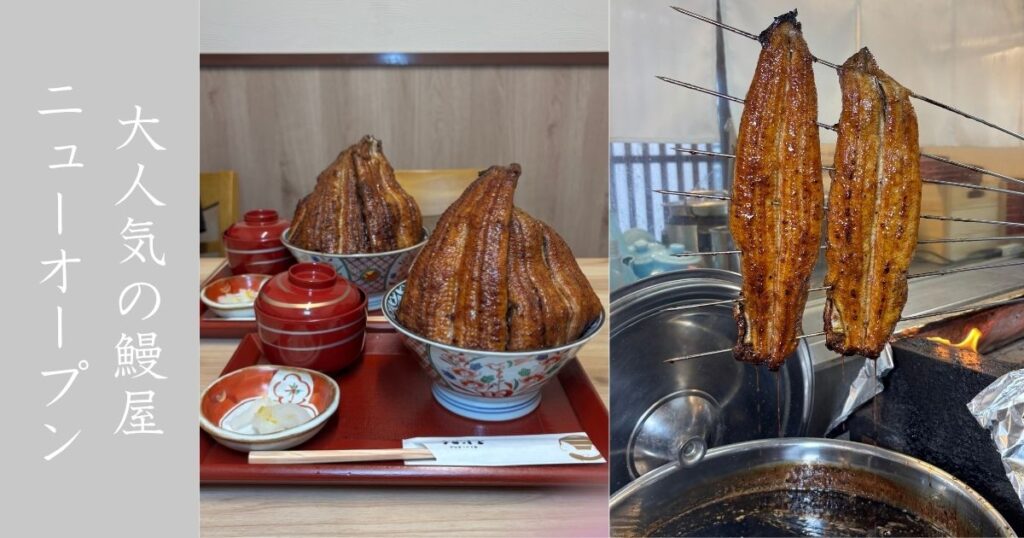 炭火鰻と特選和牛ふじさん 岡崎店 富士マウンテンと桶うなぎのインパクトやばい！安くて高品質な鰻が食べれる