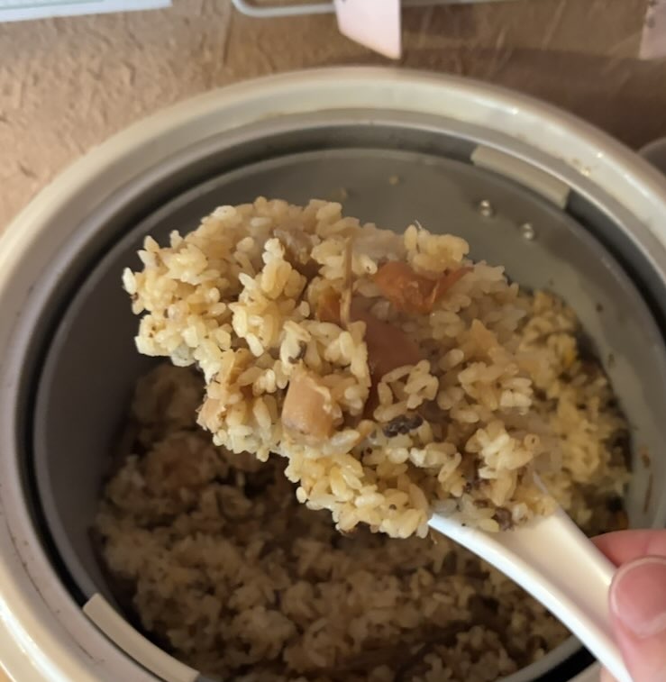 蕎麦翁 百才笑（豊田市）　とり飯