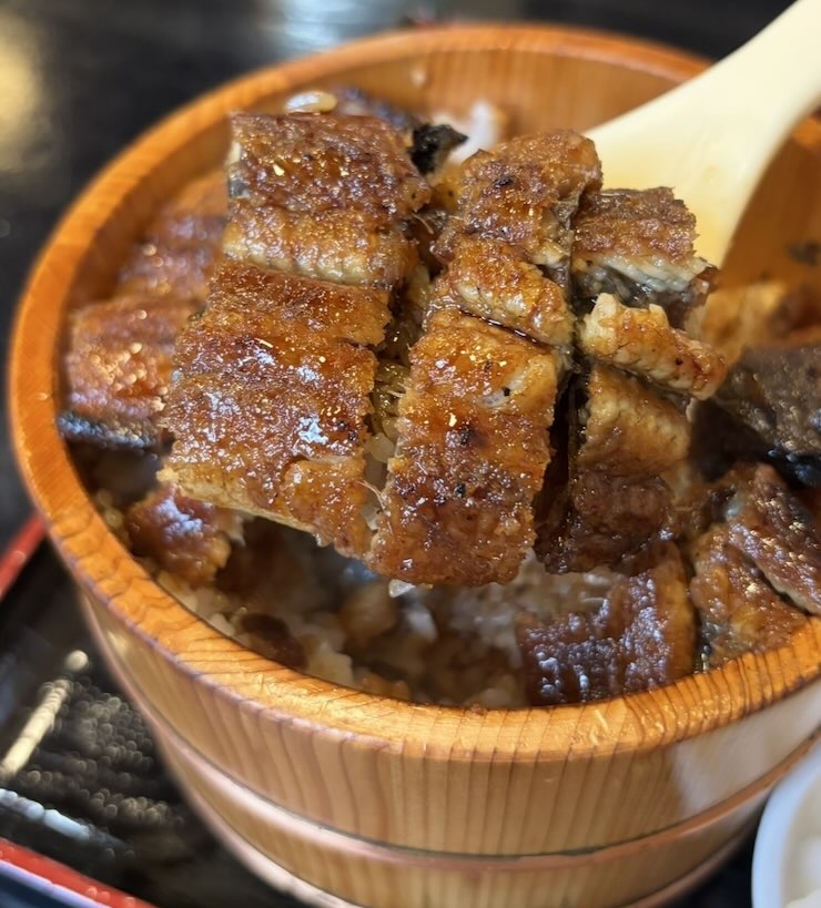 うな房(豊田市) 鰻まぶし