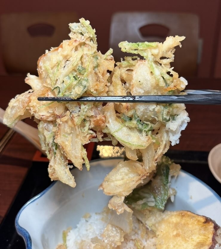 和風彩菜 もろこし家(みよし市) 天麩羅丼御膳