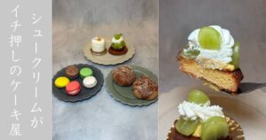 パティスリーアルスノーヴァ（豊田市） 季節のフルーツケーキ多し。シュークリームが個人的にイチ押し！
