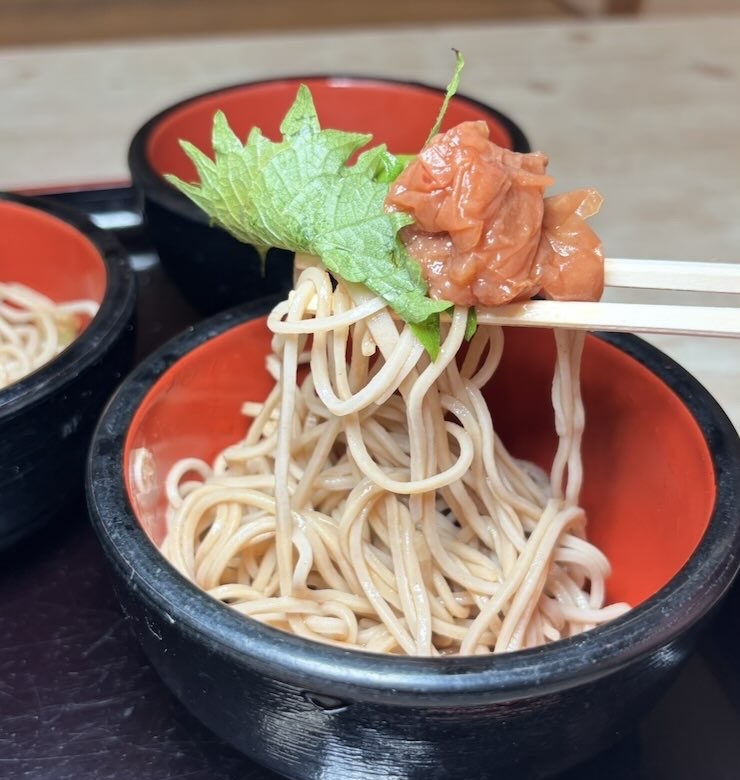 美伊屋(うまいや)豊田市 梅しそ蕎麦