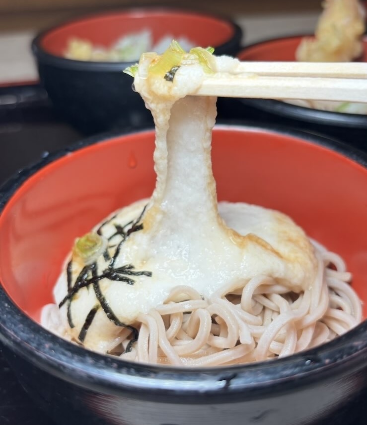 美伊屋(うまいや)豊田市 とろろそば