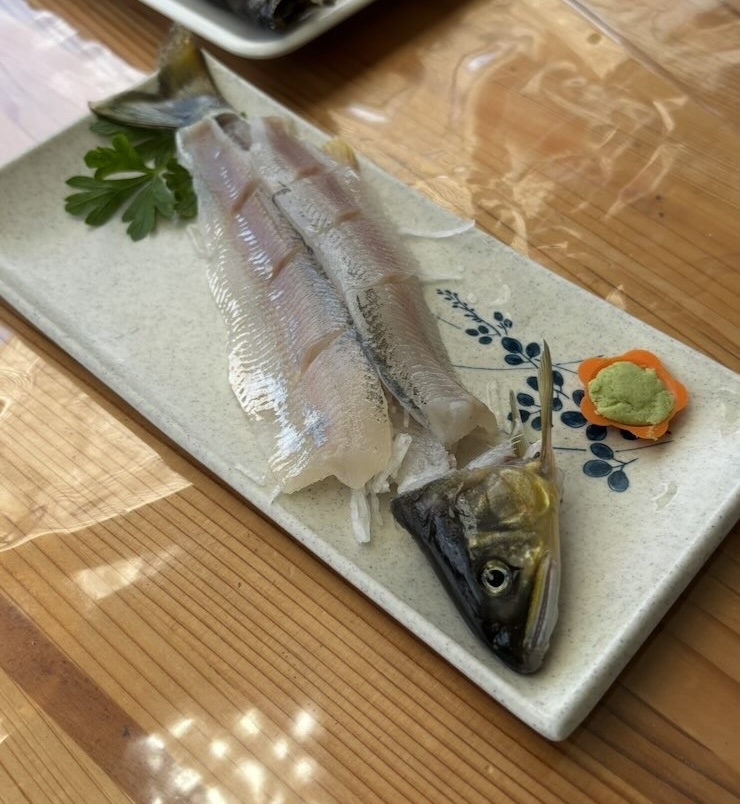 広瀬やな（豊田市）　鮎の刺身