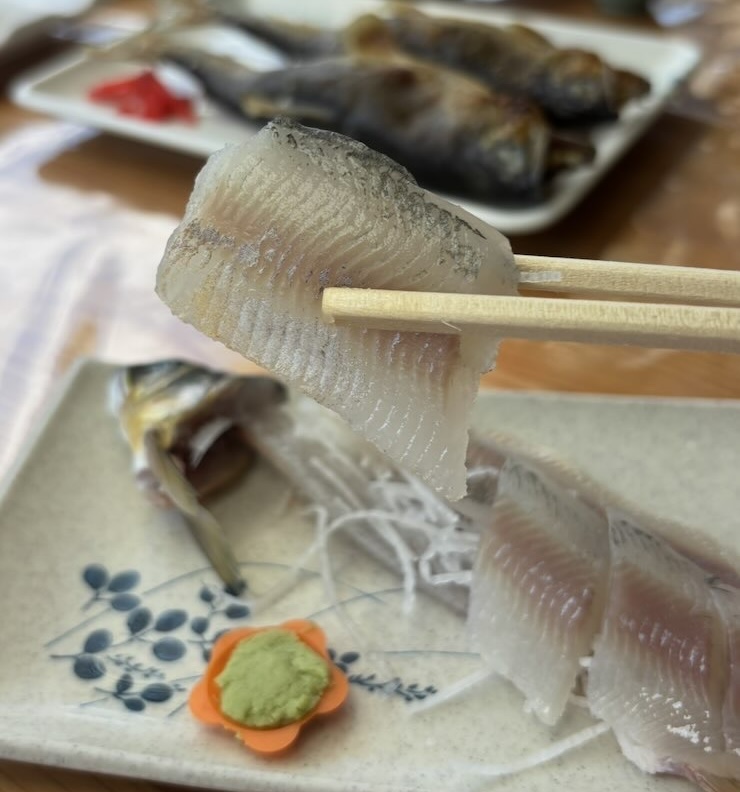広瀬やな（豊田市）　鮎の刺身