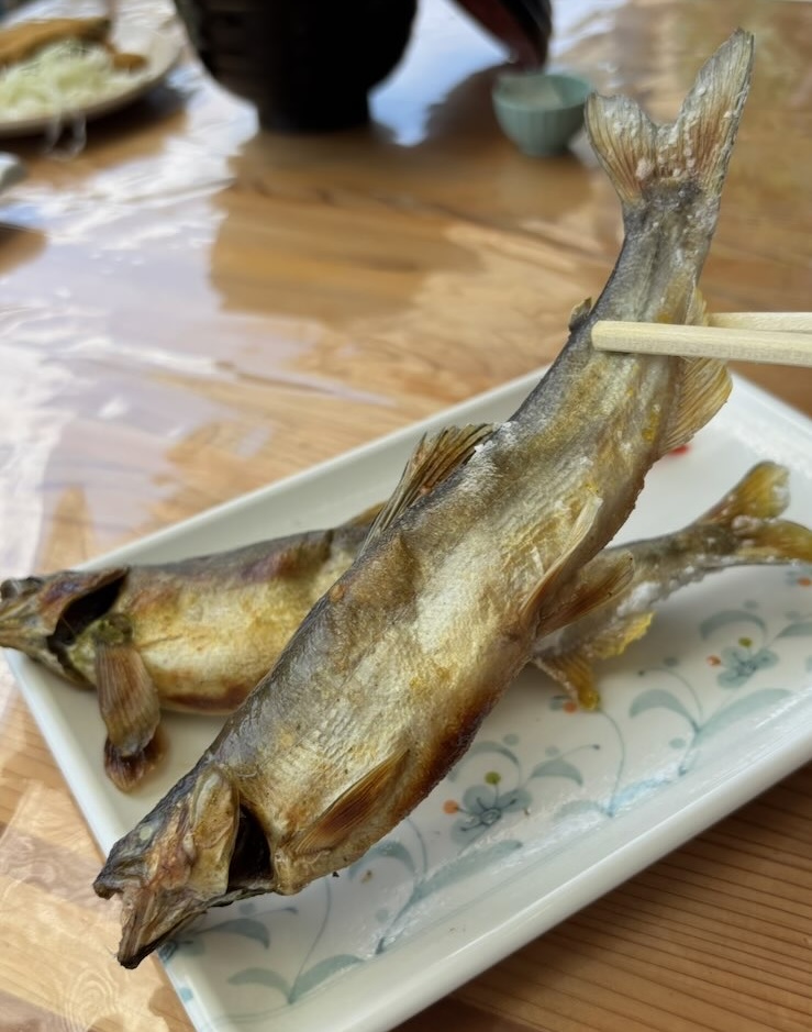 広瀬やな（豊田市）　鮎の塩焼き