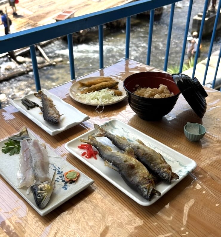 広瀬やな（豊田市） A定食