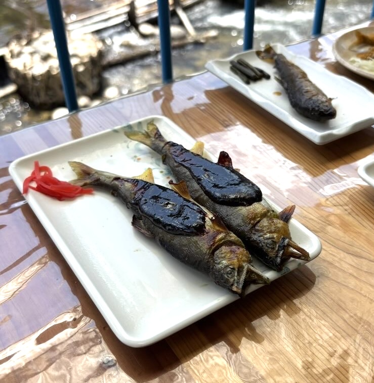 広瀬やな（豊田市）　鮎の田楽