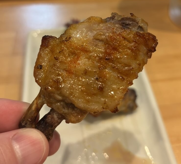 山姥の住処（豊田市）　山姥手羽