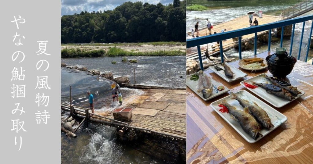 広瀬やな（豊田市） 夏限定、鮎だらけの贅沢定食と鮎の掴み取りが出来る場所！メニューの一部紹介