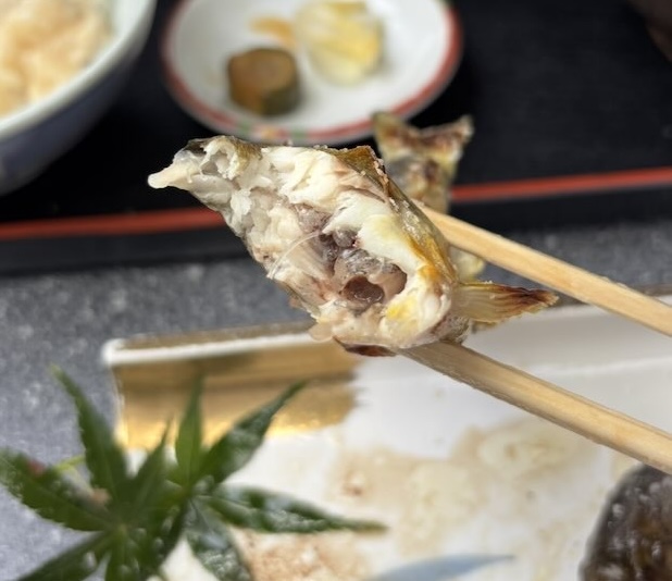 かじか苑(豊田市) 鮎の塩焼き