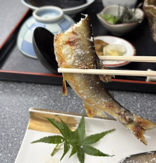 かじか苑(豊田市) 鮎の塩焼き