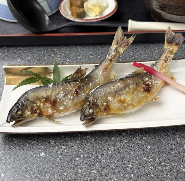 かじか苑(豊田市) 鮎の塩焼き