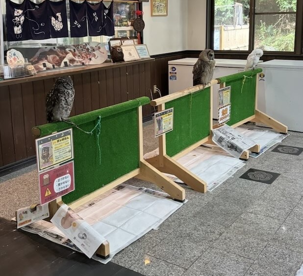 かじか苑(豊田市) 入口のフクロウ