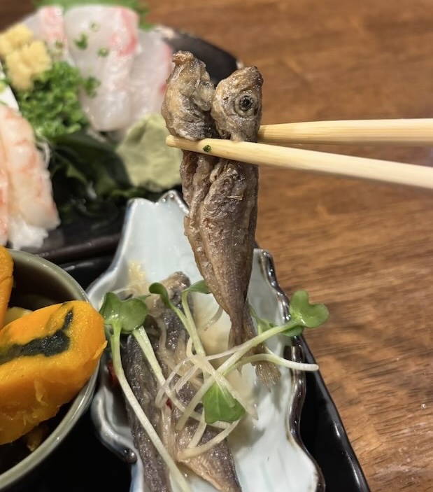 はせ川 本店（豊田市）　おばんざい