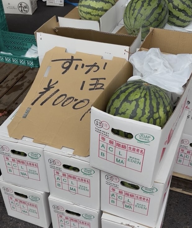 豊田市公設地方卸売市場 夏の地元産くだもの大集合市