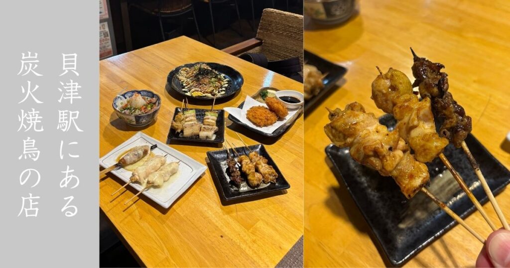 炭火焼鳥 紀どり（豊田市） 焼鳥は全般的に美味いし、鶏系のつまみも最高。メニュー情報まとめ