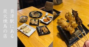 炭火焼鳥 紀どり（豊田市） 焼鳥は全般的に美味いし、鶏系のつまみも最高。メニュー情報まとめ