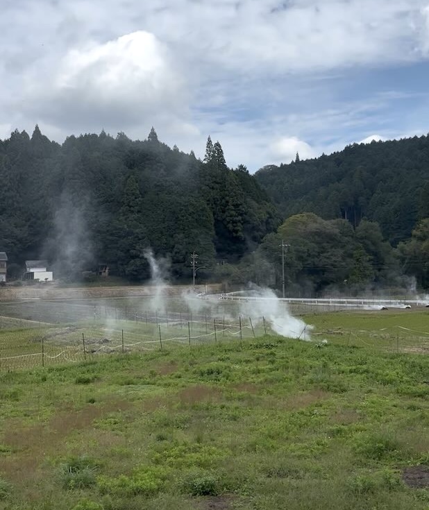 しろきりん周辺に広がる豊田市和合町の田園風景