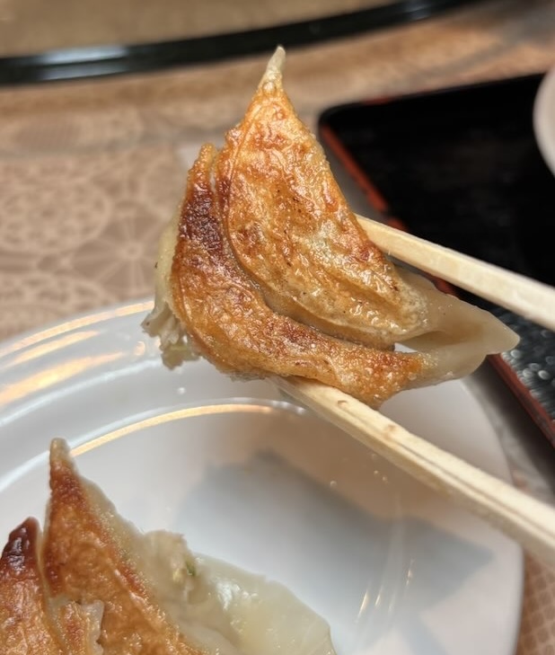 箸で持ち上げた焼き餃子