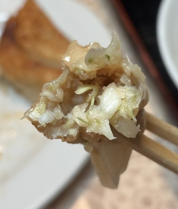 焼き餃子の断面と野菜の具